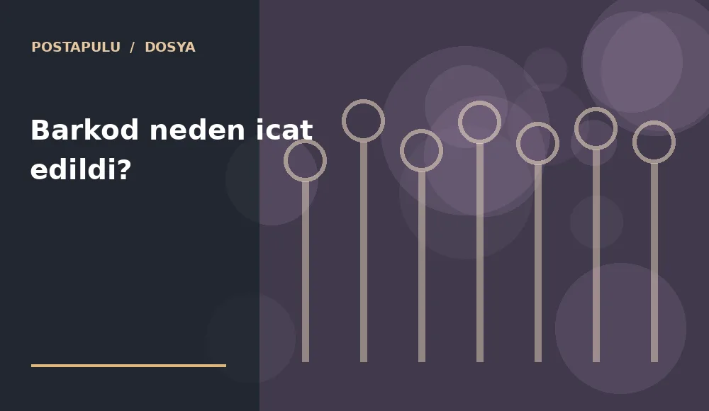 Barkod neden icat edildi?