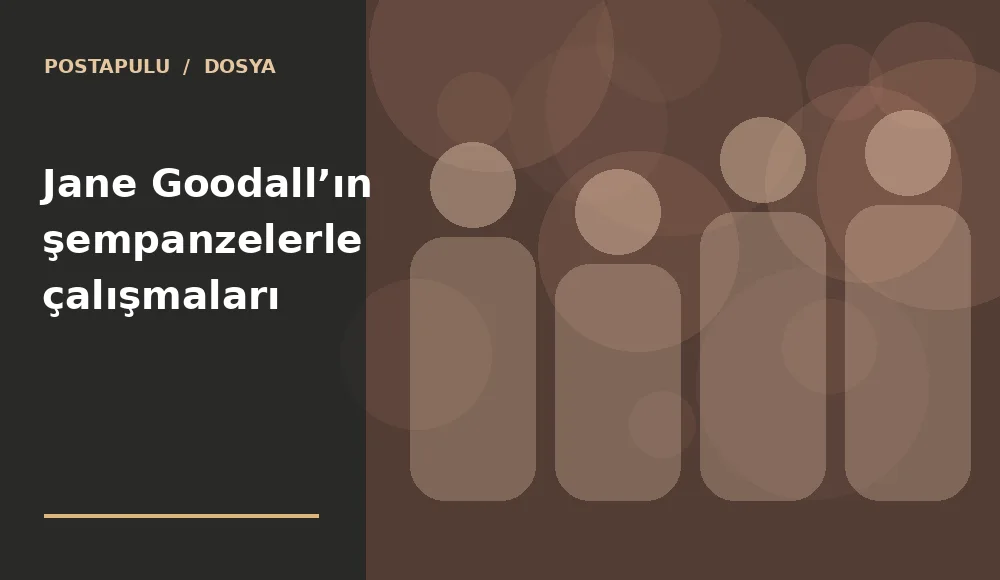 Jane Goodall’ın şempanzelerle çalışmaları